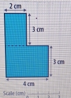 Scale (cm) 1 
1