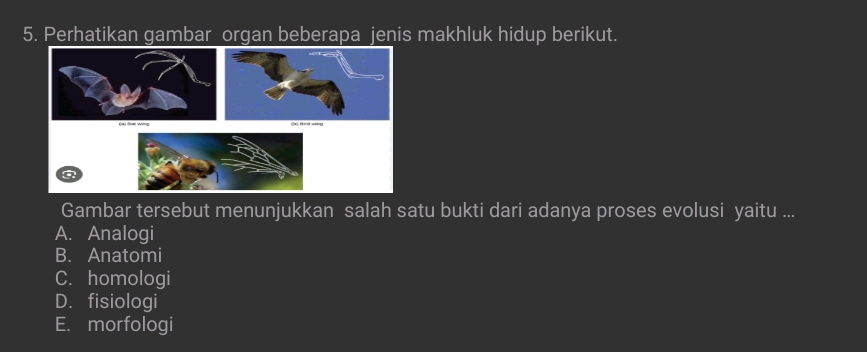 Perhatikan gambar organ beberapa jenis makhluk hidup berikut.
Gambar tersebut menunjukkan salah satu bukti dari adanya proses evolusi yaitu ...
A. Analogi
B. Anatomi
C. homologi
D. fisiologi
E. morfologi