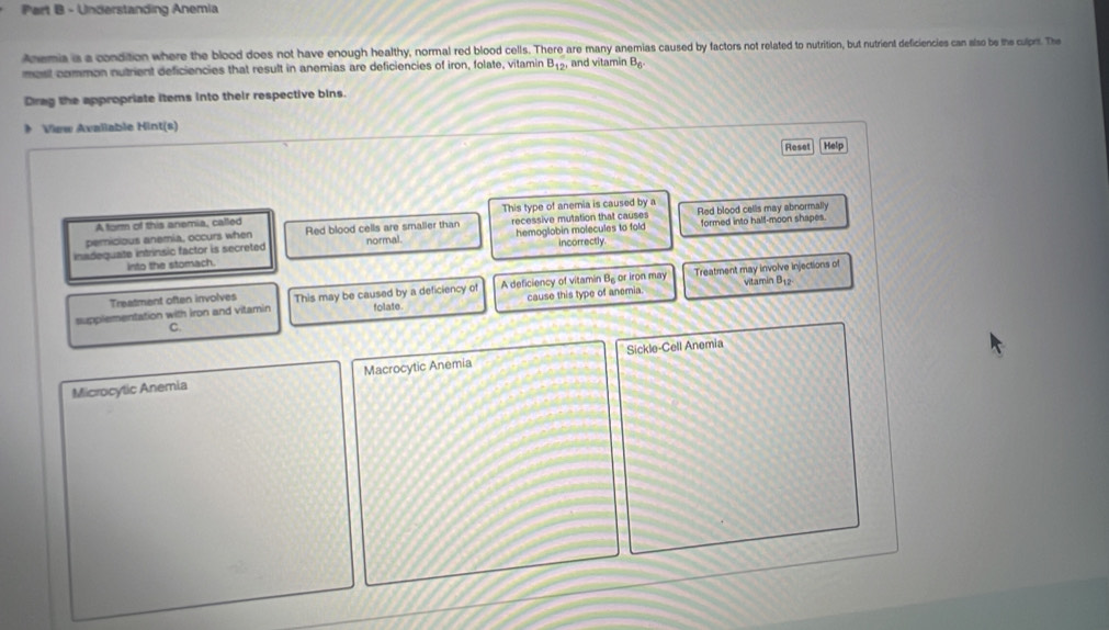 Understanding Anemia
Anemia is a condition where the blood does not have enough healthy, normal red blood cells. There are many anemias caused by factors not related to nutrition, but nutrient deficiencies can also be the culprt. The
most common nutrient deficiencies that result in anemias are deficiencies of iron, folate, vitamin B_12 and vitamin B_6. 
Drag the appropriate items into their respective bins.
View Avallable Hint(s)
Reset Help
A form of this anemia, called This type of anemia is caused by a
permicious anemia, occurs when Red blood cells are smaller than recessive mutation that causes Red blood cells may abnormally
inadequate intrinsic factor is secreted normal. hemoglobin molecules to fold incorrectly. formed into half-moon shapes.
into the stomach.
supplementation with iron and vitamin This may be caused by a deficiency of A deficiency of vitamin B or iron may Treatment may involve injections of vitamin B12
folate cause this type of anemia.
Treatment often involves
C.
Microcytic Anemia Macrocytic Anemia Sickle-Cell Anemia