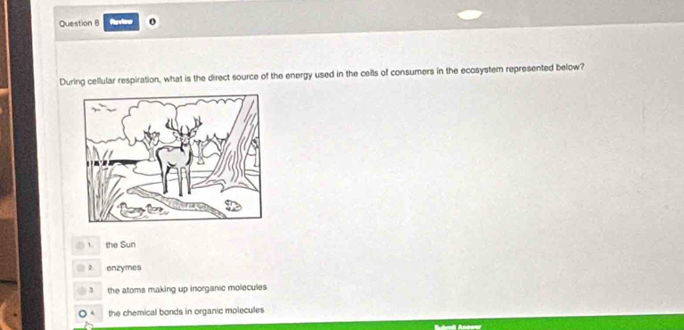 Ravies
During cellular respiration, what is the direct source of the energy used in the cells of consumers in the ecosystem represented below?
f the Sun
2 enzymes
the atoms making up inorganic molecules
4 the chemical bonds in organic molecules