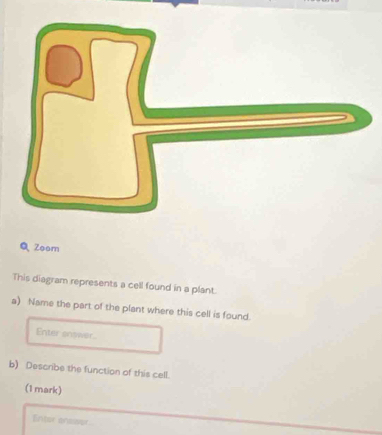 Zoor 
This diagram represents a cell found in a plant. 
a) Name the part of the plant where this cell is found. 
Enter snswer. 
b) Describe the function of this cell. 
(1 mark) 
Enter ensiver