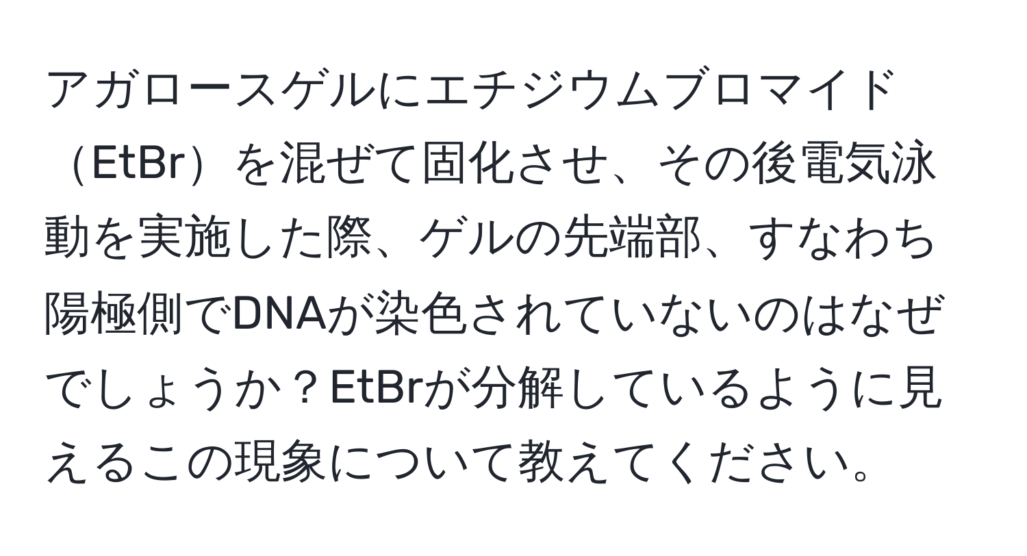 アガロースゲルにエチジウムブロマイドEtBrを混ぜて固化させ、その後電気泳動を実施した際、ゲルの先端部、すなわち陽極側でDNAが染色されていないのはなぜでしょうか？EtBrが分解しているように見えるこの現象について教えてください。