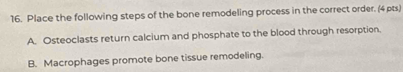 Place the following steps of the bone remodeling process in the correct order. (4 pts)
A. Osteoclasts return calcium and phosphate to the blood through resorption.
B. Macrophages promote bone tissue remodeling.