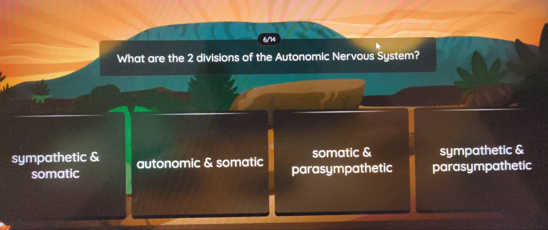 6/14
What are the 2 divisions of the Autonomic Nervous System?
sympathetic &
somatic & sympathetic &
autonomic & somatic
somatic parasympathetic parasympathetic