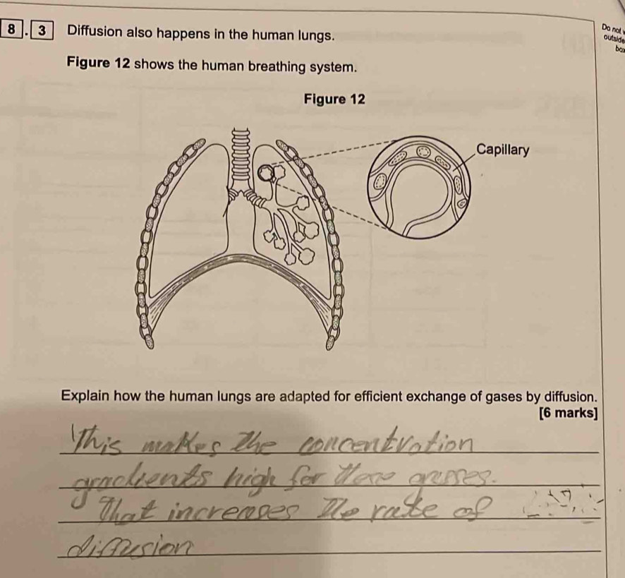 Do not 
8 . 3 Diffusion also happens in the human lungs. 
outside 
box 
Figure 12 shows the human breathing system. 
Figure 12 
Explain how the human lungs are adapted for efficient exchange of gases by diffusion. 
[6 marks] 
_ 
_ 
_ 
_