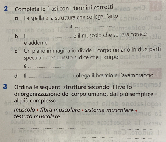 Completa le frasi con i termini corretti. 
d La spalla è la struttura che collega l'arto 
_al_ 
b l_ è il muscolo che separa torace 
e addome. 
c Un piano immaginario divide il corpo umano in due parti 
speculari: per questo si dice che il corpo 
_è 
d l _collega il braccio e l’avambraccio. 
3 Ordina le seguenti strutture secondo il livello 
di organizzazione del corpo umano, dal più semplice 
al più complesso. 
muscolo • fibra muscolare • sistema muscolare 
tessuto muscolare 
_ 
_