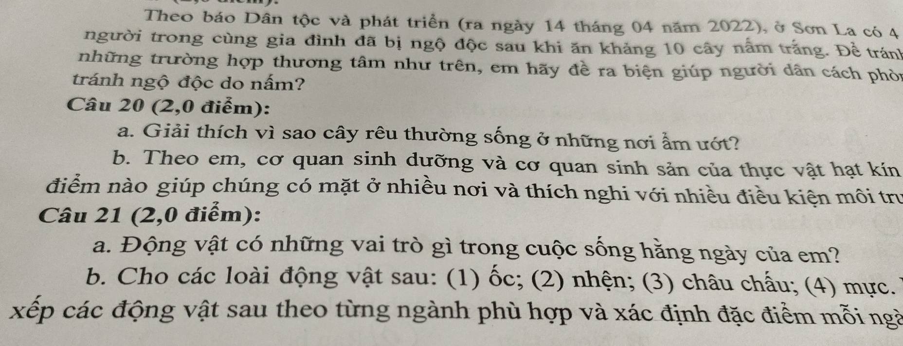 Theo báo Dân tộc và phát triển (ra ngày 14 tháng 04 năm 2022), ở Sơn La có 4
người trong cùng gia đình đã bị ngộ độc sau khi ăn khảng 10 cây nằm trắng. Để tránh 
những trường hợp thương tâm như trên, em hãy đề ra biện giúp người dân cách phòi 
tránh ngộ độc do nấm? 
Câu 20 (2,0 điểm): 
a. Giải thích vì sao cây rêu thường sống ở những nơi ẩm ướt? 
b. Theo em, cơ quan sinh dưỡng và cơ quan sinh sản của thực vật hạt kín 
điểm nào giúp chúng có mặt ở nhiều nơi và thích nghi với nhiều điều kiện môi trư 
Câu 21 (2,0 điểm): 
a. Động vật có những vai trò gì trong cuộc sống hằng ngày của em? 
b. Cho các loài động vật sau: (1) ốc; (2) nhện; (3) châu chấu; (4) mực. 
xếp các động vật sau theo từng ngành phù hợp và xác định đặc điểm mỗi ngà