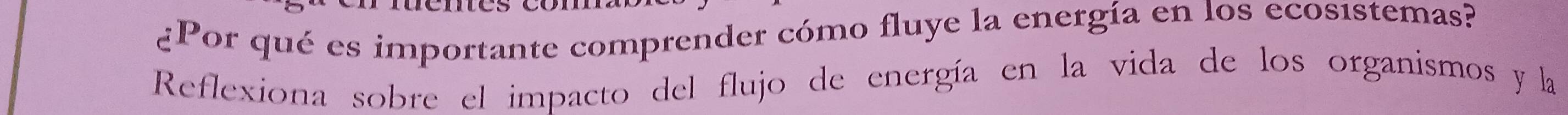 ¿Por qué es importante comprender cómo fluye la energía en los ecosistemas? 
Reflexiona sobre el impacto del flujo de energía en la vida de los organismos y la