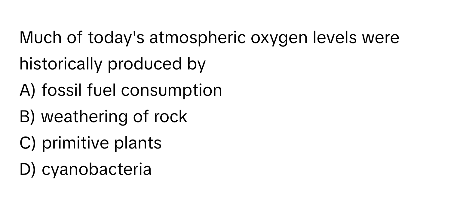 Much of today's atmospheric oxygen levels were historically produced by 
A) fossil fuel consumption 
B) weathering of rock 
C) primitive plants 
D) cyanobacteria