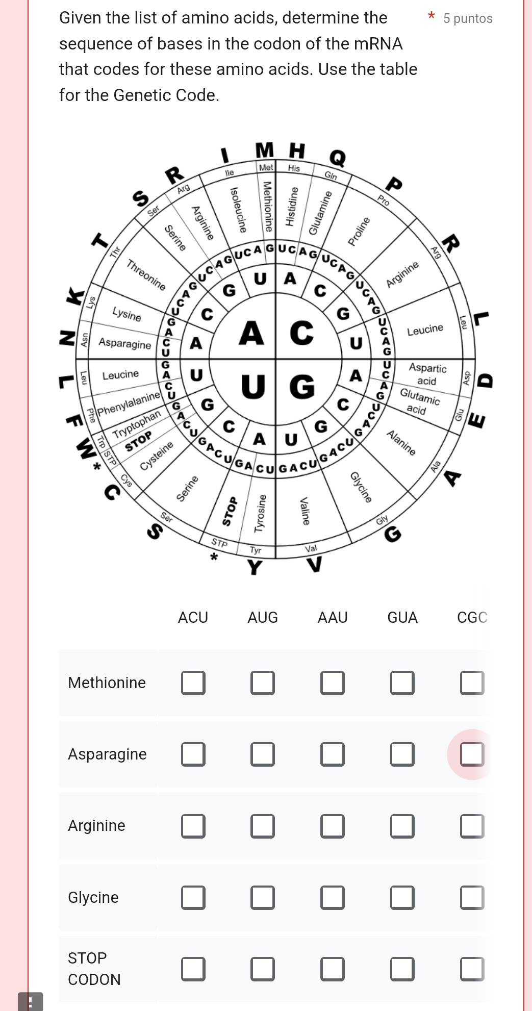 Given the list of amino acids, determine the 5 puntos 
sequence of bases in the codon of the mRNA 
that codes for these amino acids. Use the table 
for the Genetic Code. 
ACU AUG AAU GUA CGC 
Methionine 
Asparagine 
Arginine 
Glycine 
STOP 
CODON