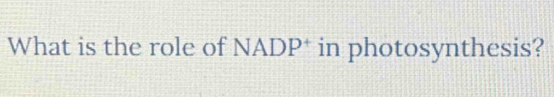 What is the role of NADP^+ in photosynthesis?