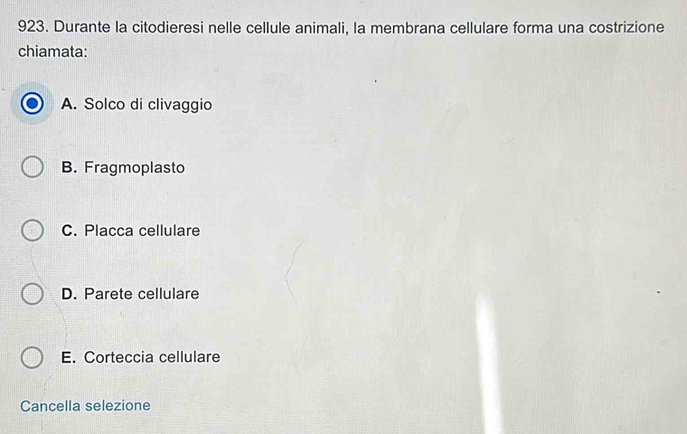 Durante la citodieresi nelle cellule animali, la membrana cellulare forma una costrizione
chiamata:
A. Solco di clivaggio
B. Fragmoplasto
C. Placca cellulare
D. Parete cellulare
E. Corteccia cellulare
Cancella selezione