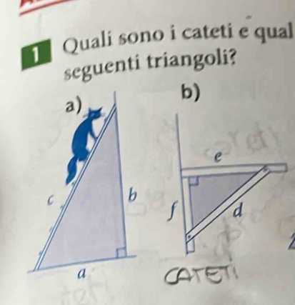 Quali sono i cateti e qual 
seguenti triangoli? 
b) 
CATET