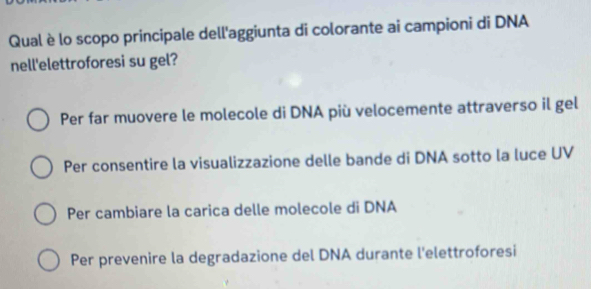 Qual è lo scopo principale dell'aggiunta di colorante ai campioni di DNA
nell'elettroforesi su gel?
Per far muovere le molecole di DNA più velocemente attraverso il gel
Per consentire la visualizzazione delle bande di DNA sotto la luce UV
Per cambiare la carica delle molecole di DNA
Per prevenire la degradazione del DNA durante l'elettroforesi