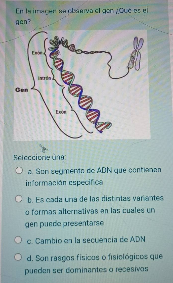 Resuelto:En la imagen se observa el gen ¿Qué es el gen? Seleccione una ...