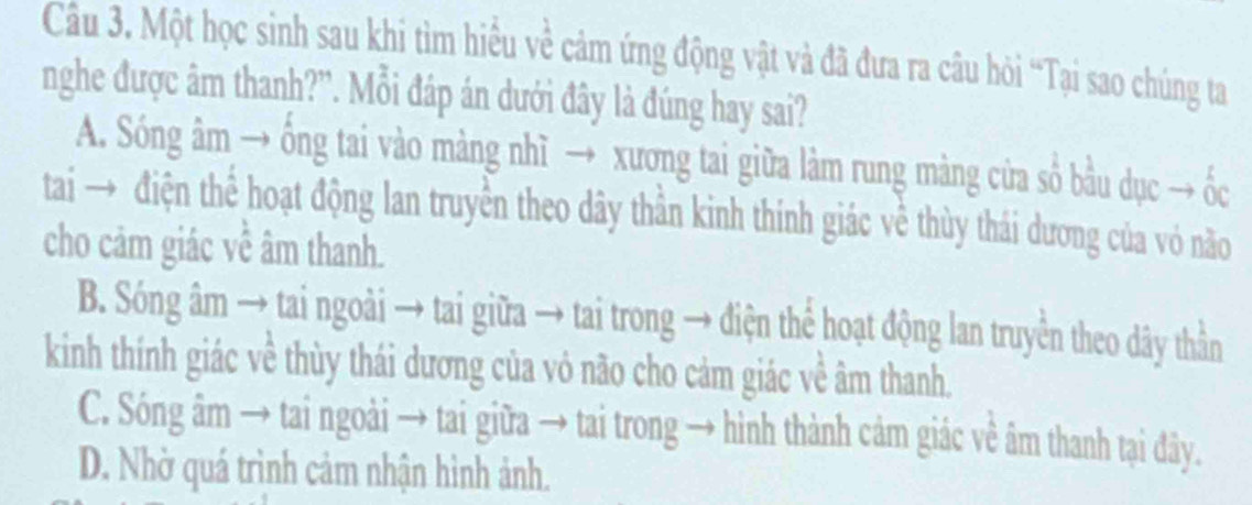 Cầu 3. Một học sinh sau khi tìm hiểu về cảm ứng động vật và đã đưa ra câu hỏi “Tại sao chúng ta
nghe được âm thanh?”. Mỗi đáp án dưới đây là đúng hay sai?
A. Sóng âm → ống tai vào màng nhĩ → xương tai giữa làm rung màng cửa số bầu dục → ốc
tai → điện thể hoạt động lan truyền theo dây thần kinh thính giác về thùy thái dương của vó não
cho cảm giác về âm thanh.
B. Sóng âm → tai ngoài → tai giữa → tai trong → điện thể hoạt động lan truyền theo dây thần
kinh thính giác về thùy thái dương của vỏ não cho cảm giác về âm thanh.
C. Sóng âm → tai ngoài → tai giữa → tai trong → hình thành cảm giác về âm thanh tại đây.
D. Nhờ quá trình cảm nhận hình ảnh.