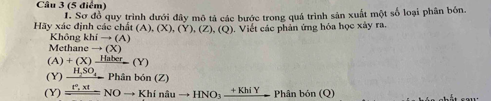 Sơ đồ quy trình dưới đây mô tả các bước trong quá trình sản xuất một số loại phân bón. 
Hãy xác định các chất (A) ),(X),(Y),(Z),(Q) 0. Viết các phản ứng hóa học xảy ra. 
Không khito (A)
Methane → (X)
(A)+(X)xrightarrow Haber(Y)
(Y) xrightarrow H_2SO_4Phanbon(Z)
(Y) xrightarrow t°,xtNOto Khinauto HNO_3xrightarrow +KhiYPhanbon(Q)