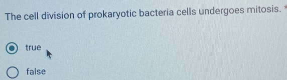 The cell division of prokaryotic bacteria cells undergoes mitosis.
true
false