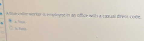 A blue-collar worker is employed in an office with a casual dress code.
a a lme
a. Fume
