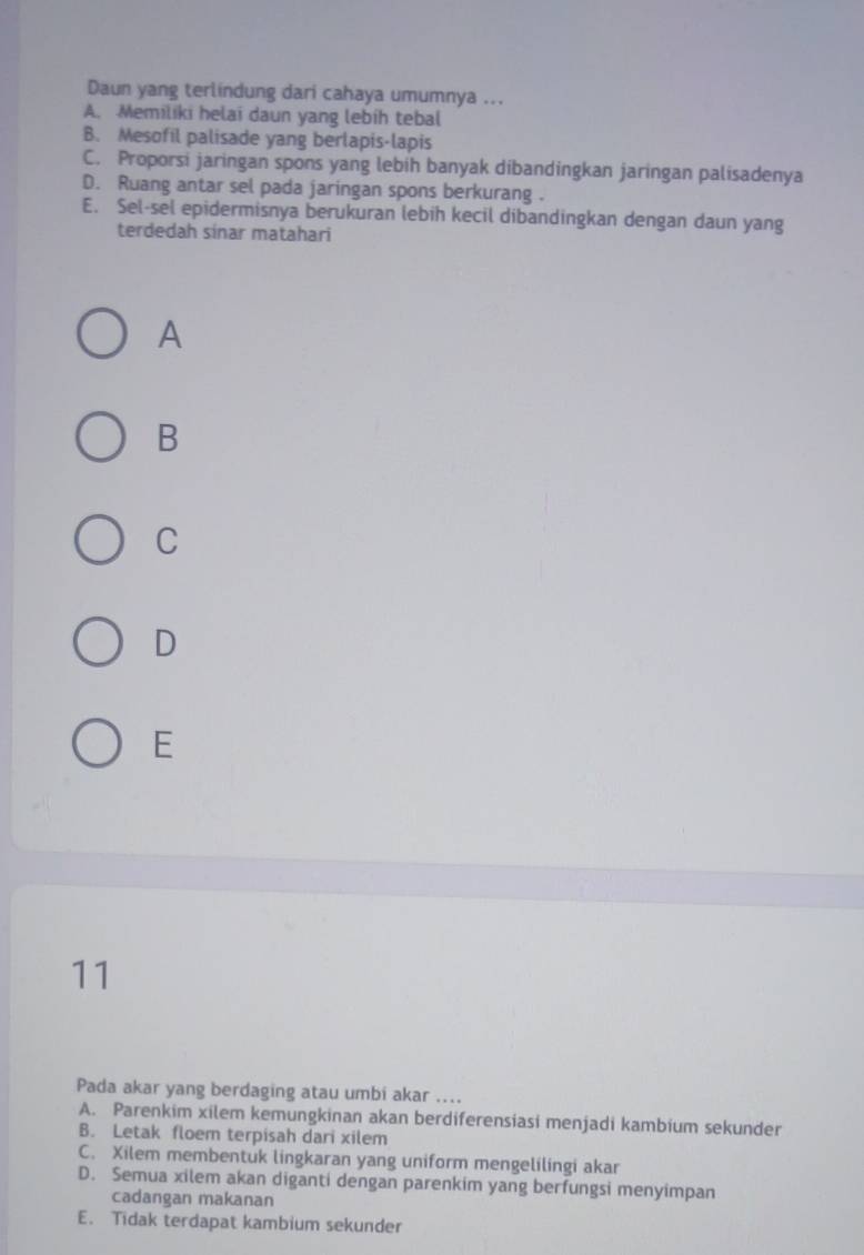 Daun yang terlindung dari cahaya umumnya ...
A. Memiliki helai daun yang lebih tebal
B. Mesofil palisade yang berlapis-lapis
C. Proporsi jaringan spons yang lebih banyak dibandingkan jaringan palisadenya
D. Ruang antar sel pada jaringan spons berkurang .
E. Sel-sel epidermisnya berukuran lebih kecil dibandingkan dengan daun yang
terdedah sínar matahari
A
B
C
D
E
11
Pada akar yang berdaging atau umbi akar ....
A. Parenkim xilem kemungkinan akan berdiferensiasi menjadi kambium sekunder
B. Letak floem terpisah dari xilem
C. Xilem membentuk lingkaran yang uniform mengelilingi akar
D. Semua xilem akan diganti dengan parenkim yang berfungsi menyimpan
cadangan makanan
E. Tidak terdapat kambium sekunder