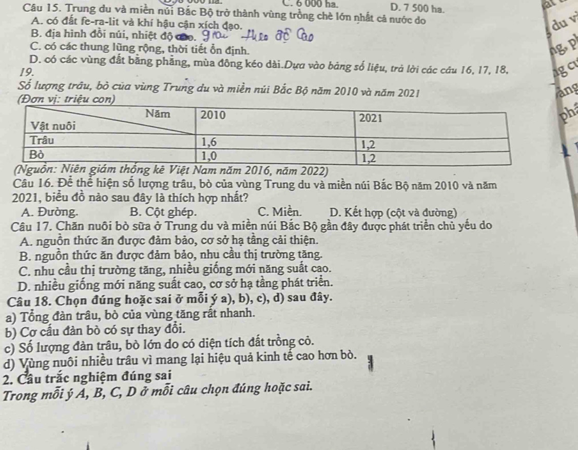 C. 6 000 ha. D. 7 500 ha.
at
Câu 15. Trung du và miền núi Bắc Bộ trở thành vùng trồng chè lớn nhất cả nước do
A. có đất fe-ra-lit và khí hậu cận xích đạo. du v
B. địa hình đồi núi, nhiệt độ cáo.
C. có các thung lũng rộng, thời tiết ổn định. ng. p
D. có các vùng đất bằng phẳng, mùa đông kéo dài.Dựa vào bảng số liệu, trả lời các câu 16, 17, 18,
19. ag c
Số lượng trâu, bò của vùng Trung du và miền núi Bắc Bộ năm 2010 và năm 2021 ang
a
Việt Nam năm 2016, năm 2022)
Câu 16. Để thể hiện số lượng trâu, bò của vùng Trung du và miền núi Bắc Bộ năm 2010 và năm
2021, biểu đồ nào sau đây là thích hợp nhất?
A. Đường. B. Cột ghép. C. Miền. D. Kết hợp (cột và đường)
Câu 17. Chăn nuôi bò sữa ở Trung du và miền núi Bắc Bộ gần đây được phát triển chủ yếu do
A. nguồn thức ăn được đảm bảo, cơ sở hạ tầng cải thiện.
B. nguồn thức ăn được đảm bảo, nhu cầu thị trường tăng.
C. nhu cầu thị trường tăng, nhiều giống mới năng suất cao.
D. nhiều giống mới năng suất cao, cơ sở hạ tầng phát triển.
Câu 18. Chọn đúng hoặc sai ở mỗi ý a), b), c), d) sau đây.
a) Tổng đàn trầu, bò của vùng tăng rất nhanh.
b) Cơ cấu đàn bò có sự thay đồi.
c) Số lượng đàn trâu, bò lớn do có diện tích đất trồng cỏ.
d) Vùng nuôi nhiều trâu vì mang lại hiệu quả kinh tế cao hơn bò.
2. Cầu trắc nghiệm đúng sai
Trong mỗi ý A, B, C, D ở mỗi câu chọn đúng hoặc sai.