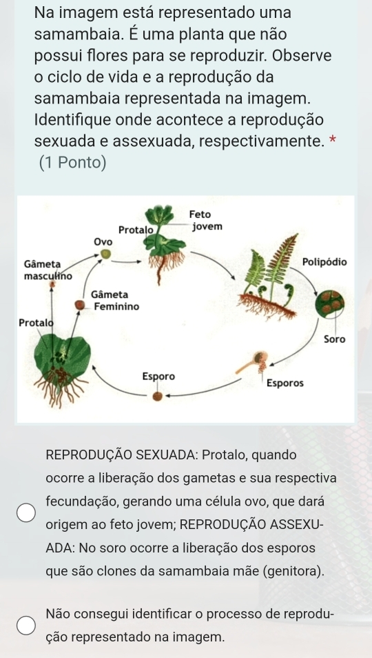 Na imagem está representado uma
samambaia. É uma planta que não
possui flores para se reproduzir. Observe
o ciclo de vida e a reprodução da
samambaia representada na imagem.
Identifique onde acontece a reprodução
sexuada e assexuada, respectivamente. *
(1 Ponto)
* REPRODUÇÃO SEXUADA: Protalo, quando
ocorre a liberação dos gametas e sua respectiva
fecundação, gerando uma célula ovo, que dará
origem ao feto jovem; REPRODUÇÃO ASSEXU-
ADA: No soro ocorre a liberação dos esporos
que são clones da samambaia mãe (genitora).
Não consegui identificar o processo de reprodu-
ção representado na imagem.