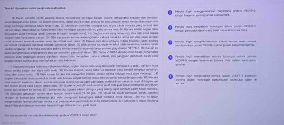 Teks ini digunakan untuk menjawab soal berivut.
Pernulis ingin menggambarkan tagaimana protein VEOFs-:
1) Daran mereri peran pening kaena mendukung berbagal fungai, seperti mangangkut oksigen den menjog
keseimbangan suhu tubuh. (2) Dalam prosesnya, darah diafirkan dari jantung ke selurun tubun unfuk merastikan organ lain sangal berperan penting unluk kornea mats.
tetap berfungsi sehingga lubuh tetap Hdup. (3) Meskipan demikian, terdapat saru organ tubuh manusie yang terbuat der    Penulis ingin mengetshal hubungan amara protein VEGFR-3
sel-sel hidup, bstapi teap berfungsi meski tkak mendspat pasokan darah, yaitu kornea mata. 4] Korees sdalsh begian mata
transparan yang menutupi pupil (bukaan đi bagian tengah mata), iris (bagian mata yong berwarna), dan bilk mata depan dengan pembuuh darsh yang tidak mełewati xomea nata
(bagian mata yang bensi caran). (5) Sifal transparan kornea momungkinkan cahaya masuk ke rešina dan diteruskan ke otal
wttuk diproses menjadl gamber yeng bise dfthat oleh mata. (6) Dikutip dari shus tembage miabe integis Heath, korner
berbentuk transparan dan lidak memitki pembutuh darah. (7) Olch karona iu, orgas tersebul ldak mesenma pasokas daah     Pfi hợm menginformaskan bahea komea mata sanda
secara langtung. [B] Mareika meyakini bahwa kornea momilki sejumiah besar protein yang disebut VEOFR-3. (5) Protein in membutuhkan probein VEGFR+3 untuk proßes peryembunannya
dapat menghentikan angiogenesis stau pertumbuhan pembułuh darah. (10) Tanpa VEOFR-3 daïam jumian besar, penglinatan
manusia akan terganggu secara sigsifikan, seporti bisa mengalami cedera, infeksi, aau gangguan pembulah darah pada    o i  dengan kesehatan komea mata dalam masangkz
başian körnea, bahkan bisa meningkatkan riska kebutaan.    Pesuls ngn menjelasián adanya hutungán antara proteín
11 Menuruc lembaga kesehatan Shörefine Vision, bagian depan məla yang transparan menutupi Irls, pupil den bilk mata gaindal
depan senakui bagian dan daya optik mata. (12) Kornea memtiki ujung saraf lak bermietin yang sensisf teradap seniuhan
suhu, dan bahan kimia. (13] Dish karena Ru, šika kita manyentub kornea, secara rñeks, kelopak mąta gkan menutup. (14
Başlan tansparán tanpa pembuluh darah pada kornea sangat penting untuk mełhal banda-benda dengan məta. (15) Karena  Penulis ingin menjelaskan bahwa proßein VEGFR-3 berjeran
Rilek memtiki perbuluh darah, kornea menenma nurrisi das oksigen dar vdara, metákui difesi cakan air mata di bagian lusr penting dalam mencegah pertumbuhan pembuluh darsh di
kortiea
ean humár aluos pada bagian dalam mata. (96) Suplai neurotrofin olsh serabul saraf mata pun dapal membantu penyaluran
nstrisi dan oksigen ke konsea. (17) Sementara itu, kornea adalsh jaringas yasg paling cepat sombuh dalam tubuh manusia
(19) Sebagian gangguan kornea skan sembuh dsiam waktu 24-36 jam. (1)) Meski tak butuh pambuluh darah, pasokan
**tigen ke körnes bisa terhanbal jika mata mengalami kekeringan akibät memakal lensa konak. (20) Hal iv dapa
menysbabikan necvaskulansasi kornea atas pertumbuhan pembulsh darah ke dalam kornes. (21) Masalsh ini capal dixurang
stau dhilangkan dengan memakai lensa hidrogal siškon terbaru pada maña
Apa tujuén penuris menyebutkan keberadaan protein VEGFR-3 dałam seks