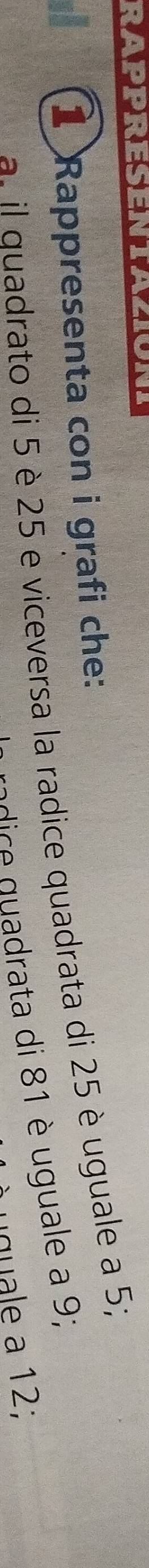 RAPPRESENTAZION 
1 Rappresenta con i grafi che: 
a. il quadrato di 5 è 25 e viceversa la radice quadrata di 25 è uguale a 5; 
eic adrata di 81 è uguale a 9; 
quale a 12;