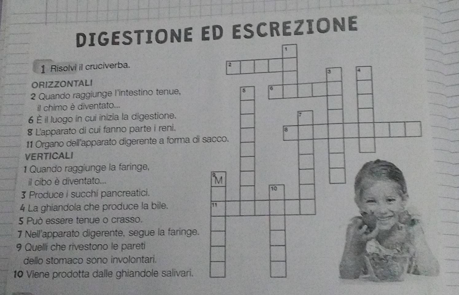 DIGESTIONE ED ESCREZIONE 
1 Risolvi il cruciverba. 
ORIZZONTALI 
2 Quando raggiunge l'intestino tenue, 
il chimo è diventato... 
6 É il luogo in cui inizia la digestione. 
8 L'apparato di cui fanno parte i reni. 
11 Organo dell'apparato digerente a forma di 
VERTICALI 
1 Quando raggiunge la faringe, 
il cibo è diventato... 
3 Produce i succhi pancreatici. 
4 La ghiandola che produce la bile. 
5 Può essere tenue o crasso. 
1 Nell'apparato digerente, segue la faringe. 
9 Quelli che rivestono le pareti 
dello stomaco sono involontari. 
10 Viene prodotta dalle ghiandole salivari.