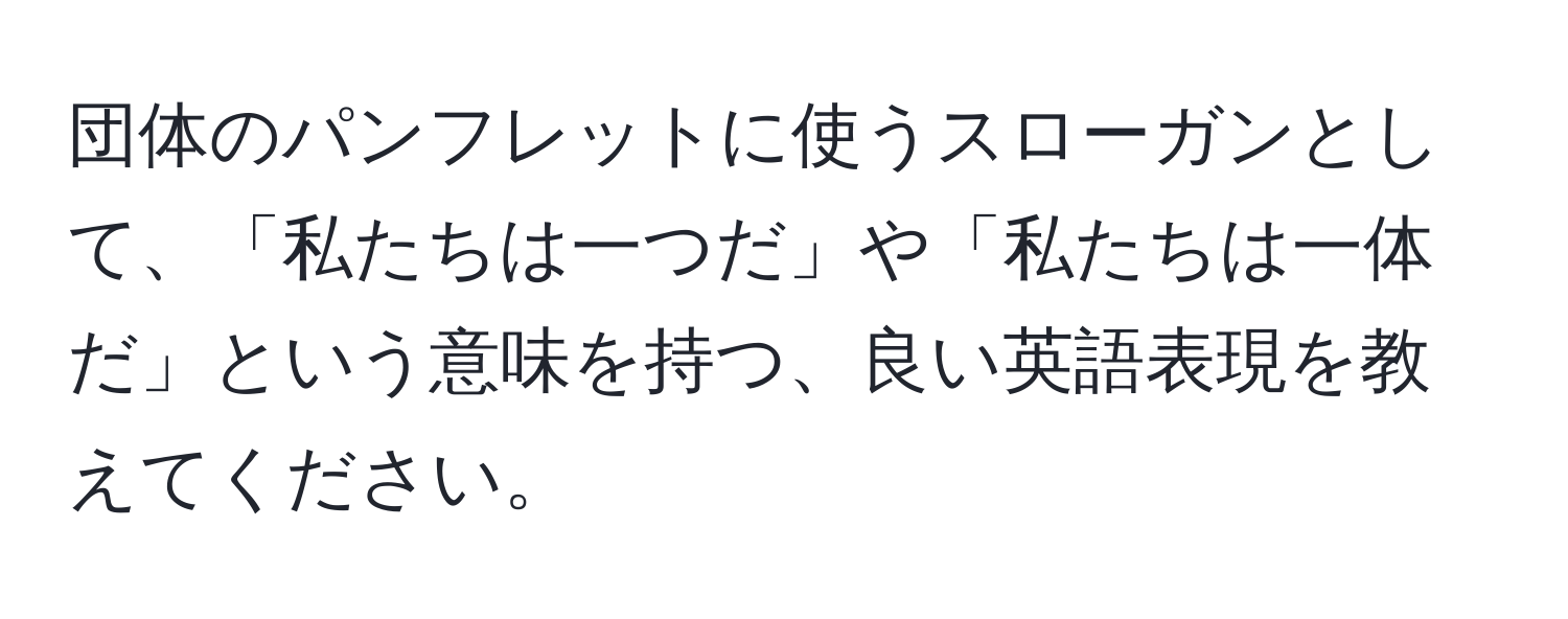 団体のパンフレットに使うスローガンとして、「私たちは一つだ」や「私たちは一体だ」という意味を持つ、良い英語表現を教えてください。