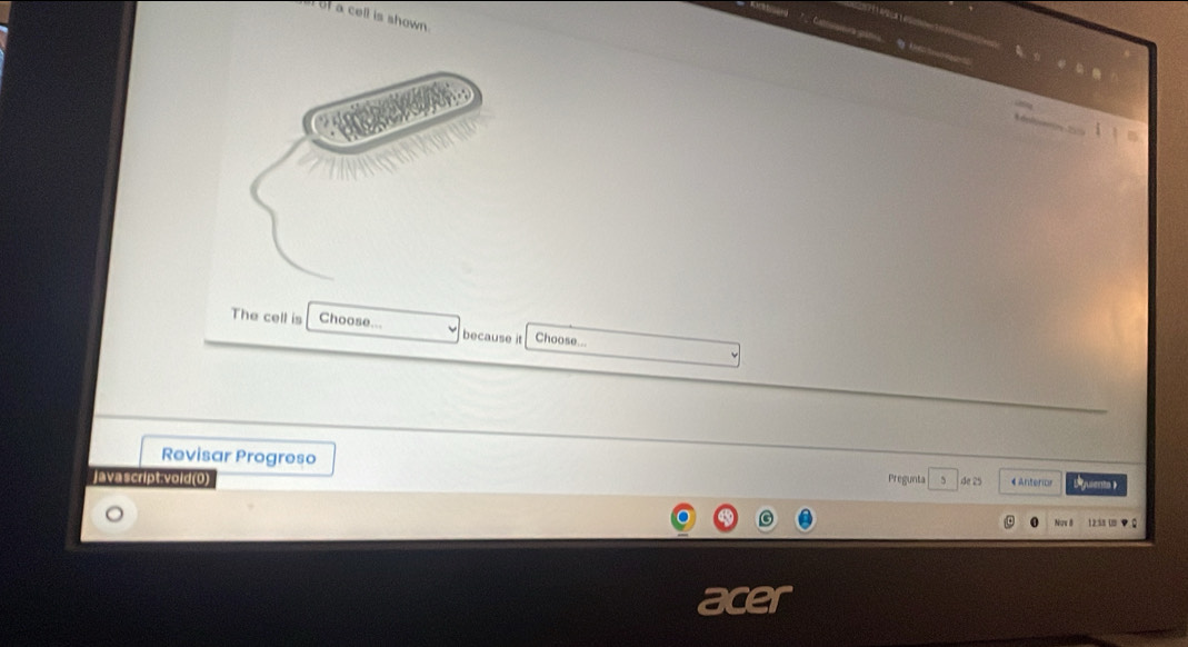 of a cell is shown . 

The cell is Choose... because it Choose... 
Revisar Progreso 
javascript:vold(0) Pregunta de 2 4 Antericr Sguients 》 
Naw 8 12.58 U ◆ C