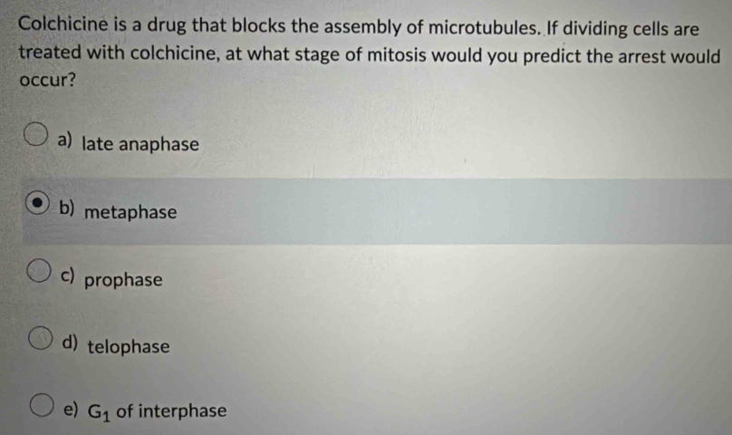 Colchicine is a drug that blocks the assembly of microtubules. If dividing cells are
treated with colchicine, at what stage of mitosis would you predict the arrest would
occur?
a) late anaphase
b) metaphase
c) prophase
d) telophase
e) G_1 of interphase