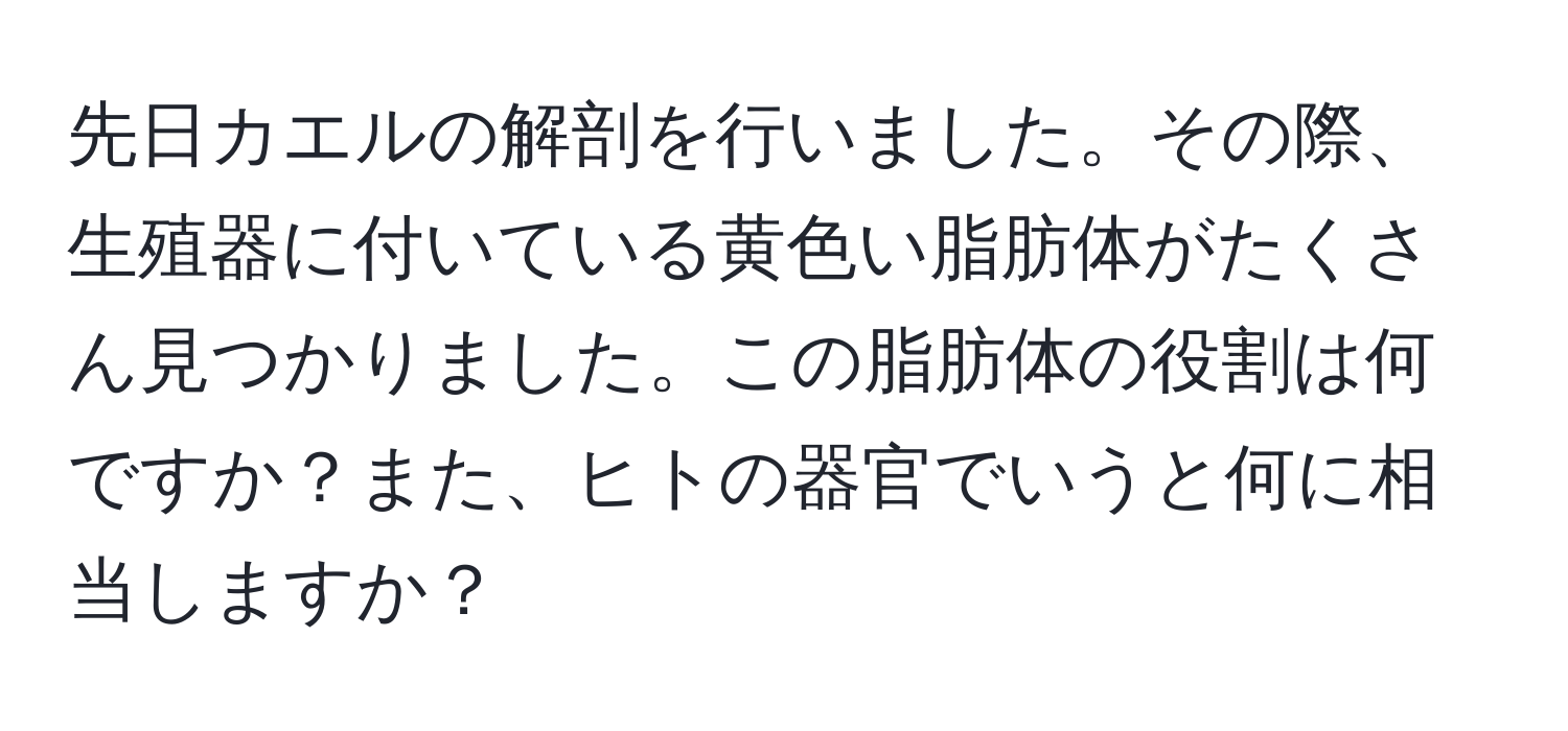 先日カエルの解剖を行いました。その際、生殖器に付いている黄色い脂肪体がたくさん見つかりました。この脂肪体の役割は何ですか？また、ヒトの器官でいうと何に相当しますか？