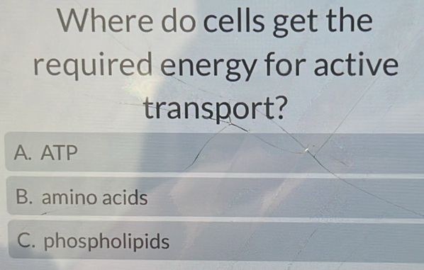 Where do cells get the
required energy for active
transport?
A. ATP
B. amino acids
C. phospholipids