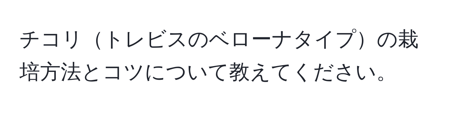 チコリトレビスのベローナタイプの栽培方法とコツについて教えてください。