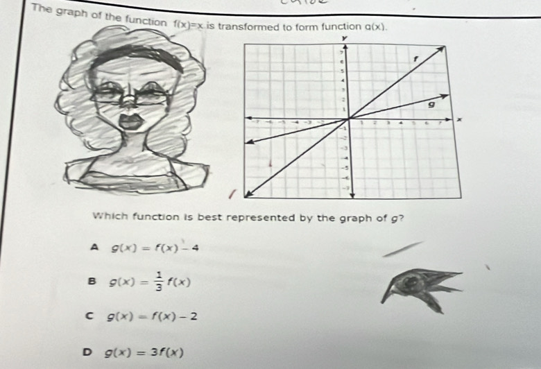 The graph of the fransformed to form function g(x).
Which function is best represented by the graph of g?
A g(x)=f(x)-4
B g(x)= 1/3 f(x)
C g(x)=f(x)-2
D g(x)=3f(x)