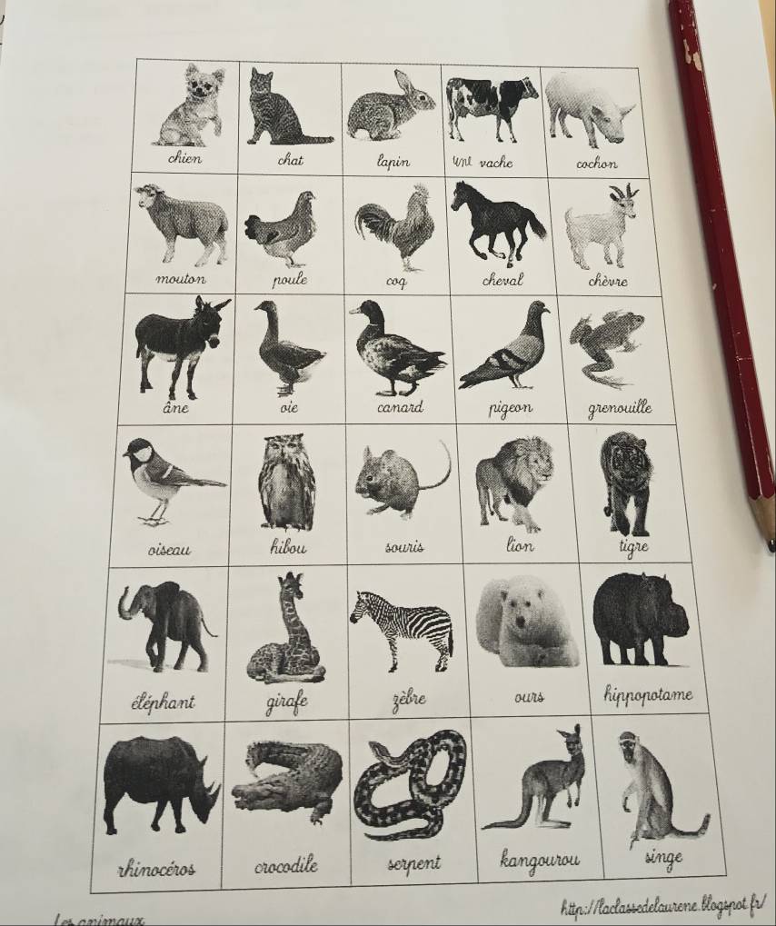 r-solu-chien-chat-lapin-unt-vache-cochon-mouton-poule-coq-cheval