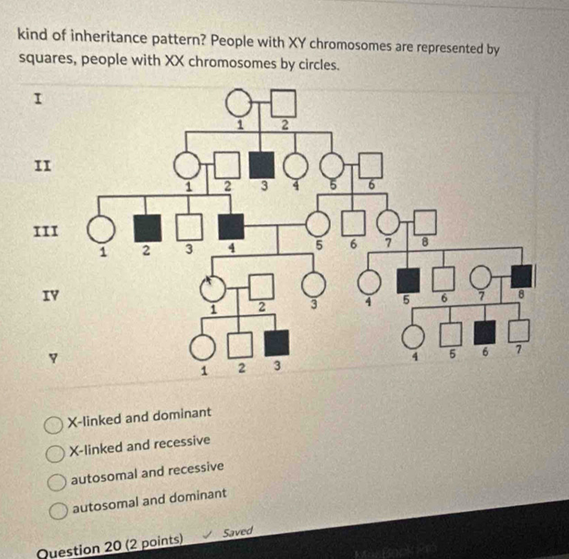 kind of inheritance pattern? People with XY chromosomes are represented by
squares, people with XX chromosomes by circles.
X -linked and dominant
X -linked and recessive
autosomal and recessive
autosomal and dominant
Question 20 (2 points) Saved