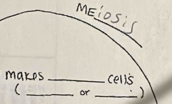 mEioSis