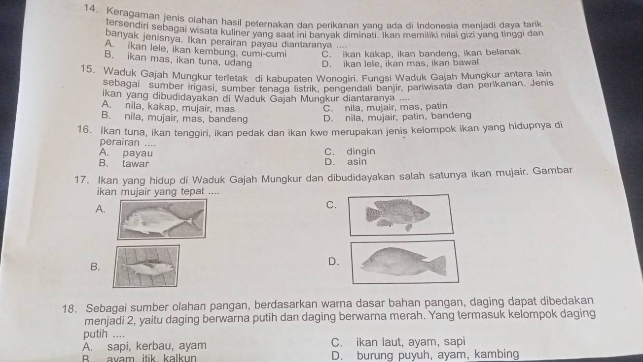 Keragaman jenis olahan hasil peternakan dan perikanan yang ada di Indonesia menjadi daya tarik
tersendiri sebagai wisata kuliner yang saat ini banvak diminati. Ikan memiliki nilai qizi yang tinggi dan
banyak jenisnya. Ikan perairan payau diantaranya ....
A. ikan lele, ikan kembung, cumi-cumi C. ikan kakap, ikan bandeng, ikan belanak
B. ikan mas, ikan tuna, udang
D. ikan lele, ikan mas, ikan bawal
15. Waduk Gajah Mungkur terletak di kabupaten Wonogiri. Fungsi Waduk Gajah Mungkur antara lain
sebagai sumber irigasi, sumber tenaga listrik, pengendali banjir, pariwisata dan perikanan. Jenis
ikan yang dibudidayakan di Waduk Gajah Mungkur diantaranya ....
A. nila, kakap, mujair, mas C. nila, mujair, mas, patin
B. nila, mujair, mas, bandeng D. nila, mujair, patin, bandeng
16. Ikan tuna, ikan tenggiri, ikan pedak dan ikan kwe merupakan jenis kelompok ikan yang hidupnya di
perairan ....
A. payau C. dingin
B. tawar D. asin
17. Ikan yang hidup di Waduk Gajah Mungkur dan dibudidayakan salah satunya ikan mujair. Gambar
ikan mujair yang tepat ....
A.
C
B.
D.
18. Sebagai sumber olahan pangan, berdasarkan warna dasar bahan pangan, daging dapat dibedakan
menjadi 2, yaitu daging berwarna putih dan daging berwarna merah. Yang termasuk kelompok daging
putih ....
A. sapi, kerbau, ayam C. ikan laut, ayam, sapi
B avam itik kalkun D. burung puyuh, ayam, kambing