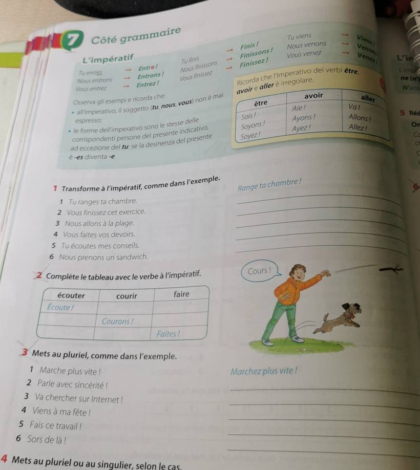 Côté grammaire 
Tu viens Viens 
Finis ! Nous venons Venon 
Vous venez - 
Venez 
L’impératif Lir 
Entre ! 
Finissez ! Finissons ! 
Tu entres 
Entrons ! 
Vous entrez → Entrez ! Ricorda che l'imperativo dei verbi être, 
Limpe 
Nous entrons 
Vous finissez Nous finissons Tu finis 
ent 
all'imperativo, il soggetto (tu, nous, vous) non é maiirregolare. 
ne (n°) 
Osserva gli esempi e ricorda che: 
Ré 
espresso; 
le forme dell'imperativo sono le stesse delle 
corrispondenti persone del presente indicativo, 
C 
ad eccezione del tu: se la desinenza del presenteOr 
è -es diventa -e. 
C 
_ 
Range ta chambre ! 
1 Transforme à l'impératif, comme dans l'exemple. 
5 
Tu ranges ta chambre. 
_ 
2 Vous finíssez cet exercice. 
_ 
3 Nous allons à la plage. 
4 Vous faites vos devoirs. 
5 Tu écoutes mes conseils. 
_ 
_ 
6 Nous prenons un sandwich. 
2 Complète le tableau avec le verbe à l'impératif. Cours ! 
3 Mets au pluriel, comme dans l’exemple. 
1 Marche plus vite ! Marchez plus vite ! 
2 Parle avec sincérité ! 
3 Va chercher sur Internet ! 
_ 
_ 
4 Viens à ma fête ! 
_ 
_ 
5 Fais ce travail ! 
_ 
6 Sors de là ! 
4 Mets au pluriel ou au singulier, selon le cas.