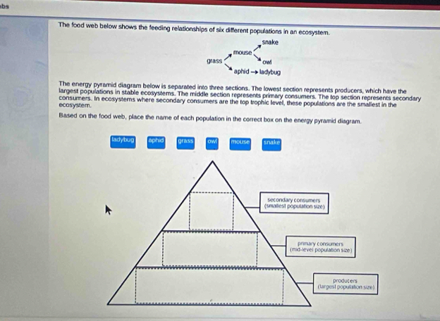 bs 
The food web below shows the feeding relationships of six different populations in an ecosystem. 
The energy pyramid diagram below is separated into three sections. The lowest section represents producers, which have the 
largest populations in stable ecosystems. The middle section represents primary consumers. The top section represents secondary 
ecosystem. consumers. In ecosystems where secondary consumers are the top trophic level, these populations are the smallest in the 
Based on the food web, place the name of each population in the correct box on the energy pyramid diagram. 
ladybug aphic gras ow mouse snake