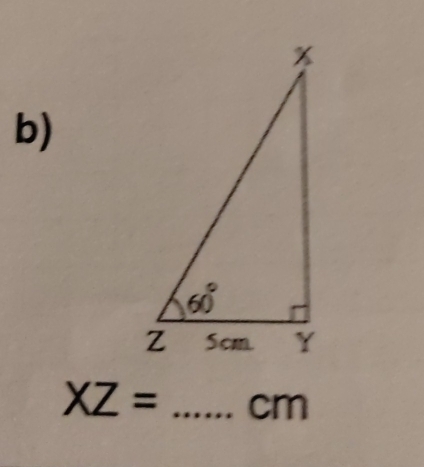 XZ= _cm