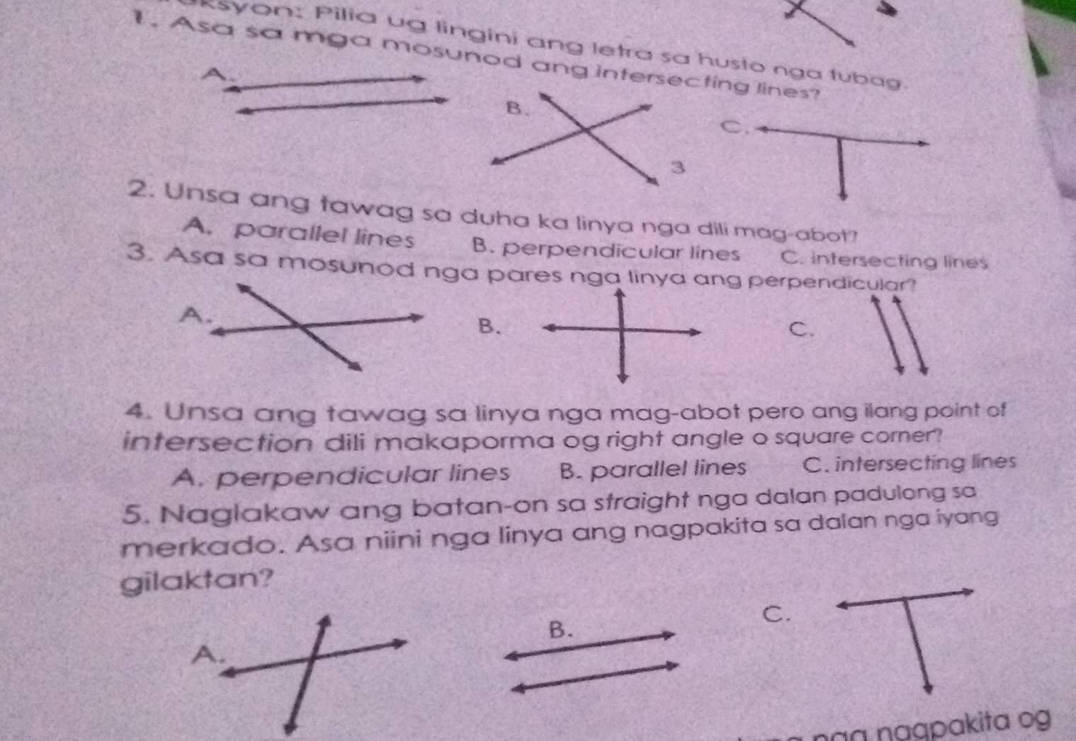 syon: Pilia ug lingini ang letra sa husto nga tubag
1. Asa sa mga mosunod ang intersecting lines?
C.
A. parallel lines B. perpendicular lines C. intersecting lines
3. Asa sa mosunod nga pares nga linya ang perpendicular?
B.
C.
4. Unsa ang tawag sa linya nga mag-abot pero ang ilang point of
intersection dili makaporma og right angle o square corner?
A. perpendicular lines B. parallel lines C. intersecting lines
5. Naglakaw ang batan-on sa straight nga dalan padulong sa
merkado. Asa niini nga linya ang nagpakita sa dalan nga iyang
gilaktan?
B.
C.
nàŋ nạqpakita og