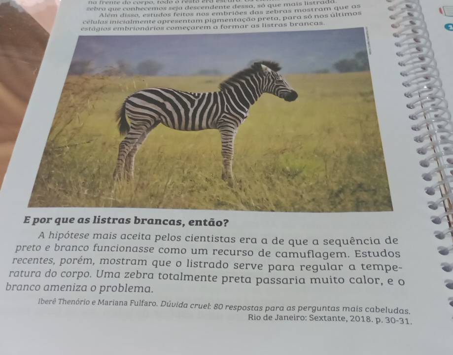 na trente do corpo, tado o restó era ea 
zebra que conhecemos seja descendente dessa, só que mais listradá 
Além disso, estudos feitos nos embriões das zebras mostram que as 
células inicialmente apresentam pigmentação preta, para só nos últimos 
as listras brancas. 
E por que as listras brancas, então? 
A hipótese mais aceita pelos cientistas era a de que a sequência de 
preto e branco funcionasse como um recurso de camuflagem. Estudos 
recentes, porém, mostram que o listrado serve para regular a tempe- 
ratura do corpo. Uma zebra totalmente preta passaria muito calor, e o 
branco ameniza o problema. 
Ilberê Thenório e Mariana Fulfaro. Dúvida cruel: 80 respostas para as perguntas mais cabeludas. 
Rio de Janeiro: Sextante, 2018. p. 30-31.