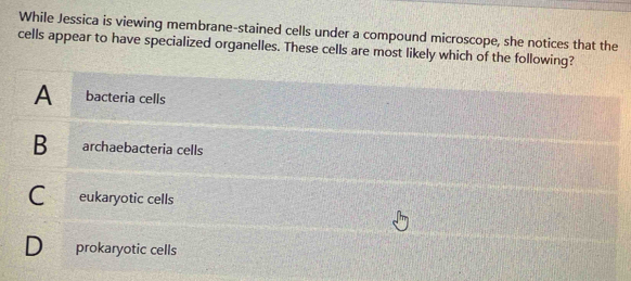 While Jessica is viewing membrane-stained cells under a compound microscope, she notices that the
cells appear to have specialized organelles. These cells are most likely which of the following?
A bacteria cells
B archaebacteria cells
C eukaryotic cells
D prokaryotic cells