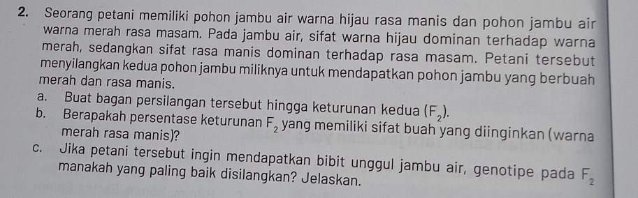 Seorang petani memiliki pohon jambu air warna hijau rasa manis dan pohon jambu air 
warna merah rasa masam. Pada jambu air, sifat warna hijau dominan terhadap warna 
merah, sedangkan sifat rasa manis dominan terhadap rasa masam. Petani tersebut 
menyilangkan kedua pohon jambu miliknya untuk mendapatkan pohon jambu yang berbuah 
merah dan rasa manis. 
a. Buat bagan persilangan tersebut hingga keturunan kedua (F_2). 
b. Berapakah persentase keturunan F_2 yang memiliki sifat buah yang diinginkan (warna 
merah rasa manis)? 
c. Jika petani tersebut ingin mendapatkan bibit unggul jambu air, genotipe pada F_2
manakah yang paling baik disilangkan? Jelaskan.