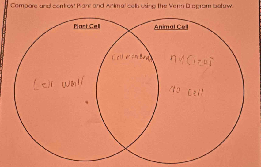 Compare and contrast Plant and Animal cells using the Venn Diagram below.