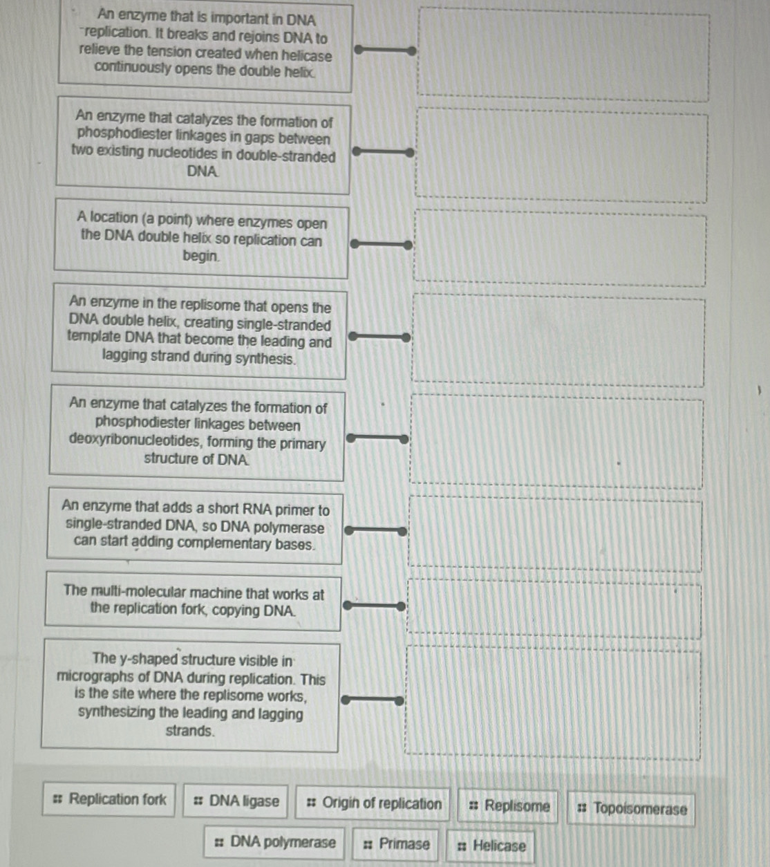 An enzyme that is important in DNA
replication. It breaks and rejoins DNA to
relieve the tension created when helicase
continuously opens the double helix.
An enzyme that catalyzes the formation of
phosphodiester linkages in gaps between
two existing nucleotides in double-stranded
DNA
A location (a point) where enzymes open
the DNA double helix so replication can
begin.
An enzyme in the replisome that opens the
DNA double helix, creating single-stranded
template DNA that become the leading and
lagging strand during synthesis.
An enzyme that catalyzes the formation of
phosphodiester linkages between
deoxyribonucleotides, forming the primary
structure of DNA
An enzyme that adds a short RNA primer to
single-stranded DNA, so DNA polymerase
can start adding complementary bases.
The multi-molecular machine that works at
the replication fork, copying DNA.
The y -shaped structure visible in
micrographs of DNA during replication. This
is the site where the replisome works,
synthesizing the leading and lagging
strands.
; Replication fork #: DNA ligase = Origin of replication # Replisome :: Topoisomerase
: DNA polymerase = Primase : Helicase