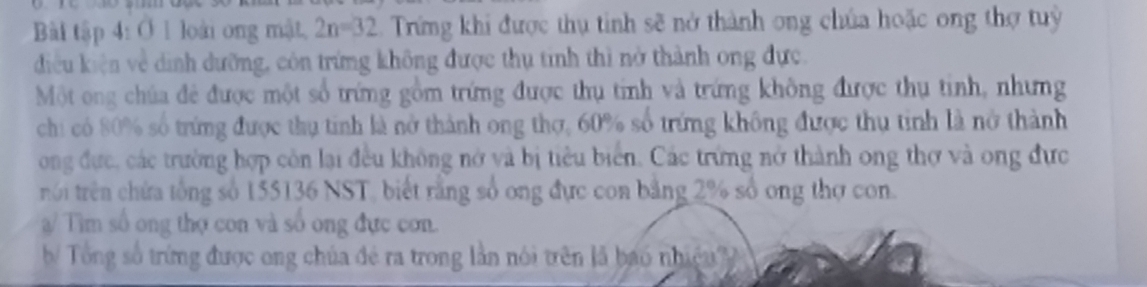 Bài tập 4: Ở 1 loài ong mật, 2n=32 Trừng khi được thụ tinh sẽ nở thành ong chúa hoặc ong thợ tuỳ 
điều kiện về dình dưỡng, còn trứng không được thụ tinh thì nở thành ong đực. 
Một ong chúa đẻ được một số trứng gồm trứng được thụ tính và trứng không được thụ tinh, nhưng 
chi có 80% số trứng được thụ tinh là nở thành ong thợ, 60% số trứng không được thụ tinh là nở thành 
ong đực, các trường hợp còn lại đều không nở và bị tiêu biển. Các trứng nở thành ong thợ và ong đực 
rói trên chứa tổng số 155136 NST, biết rằng số ong đực con bằng 2% số ong thợ con. 
/ Tìm số ong thợ con và số ong đực con. 
b/ Tổng số trừng được ong chúa đẻ ra trong lần nói trên là bao nhiều